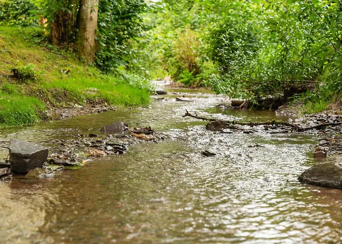 Sauwer - Your Cozy Getaway For 6 Casa de Férias *